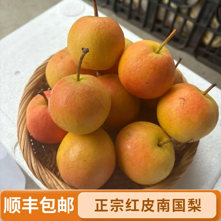 [顺丰]正宗细皮红南国梨产地直发果香四溢口感好皮薄肉细
