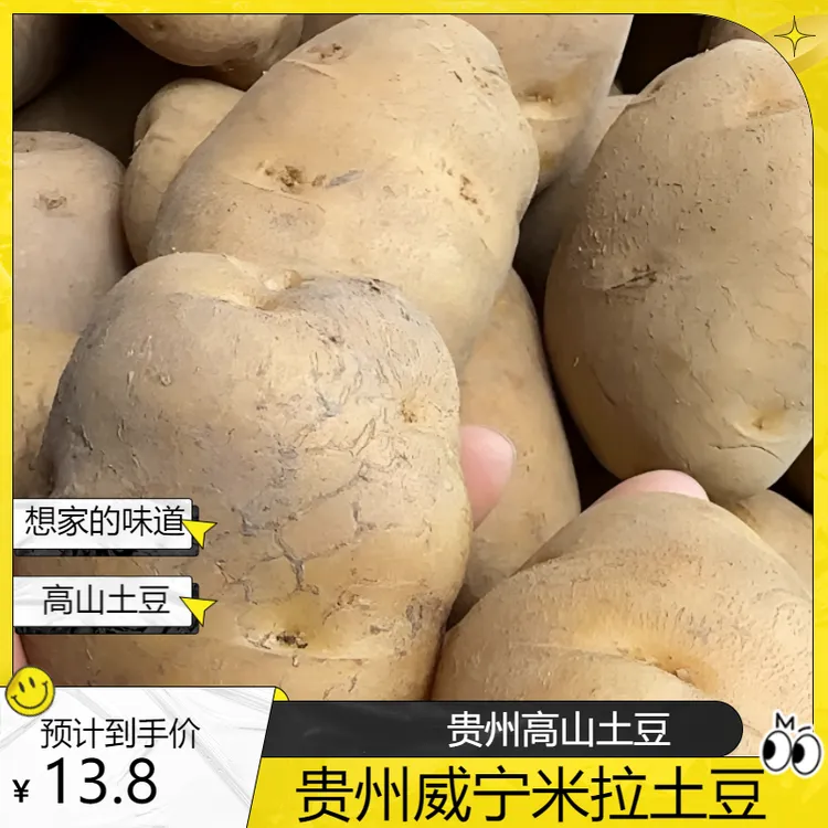 贵州新老土豆威宁米拉黄心黄皮大个软糯洋芋马铃薯黄肉黄心农家菜