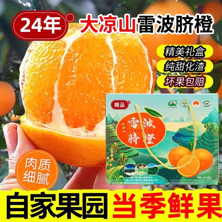 四川大凉山雷波脐橙应季新鲜水果香甜爆汁非赣南奉节采摘橙子整箱