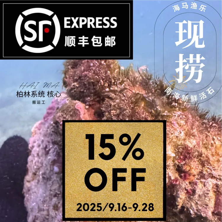 南海深海现捞活石精选高钙活石免爆藻活石带水发货活石。