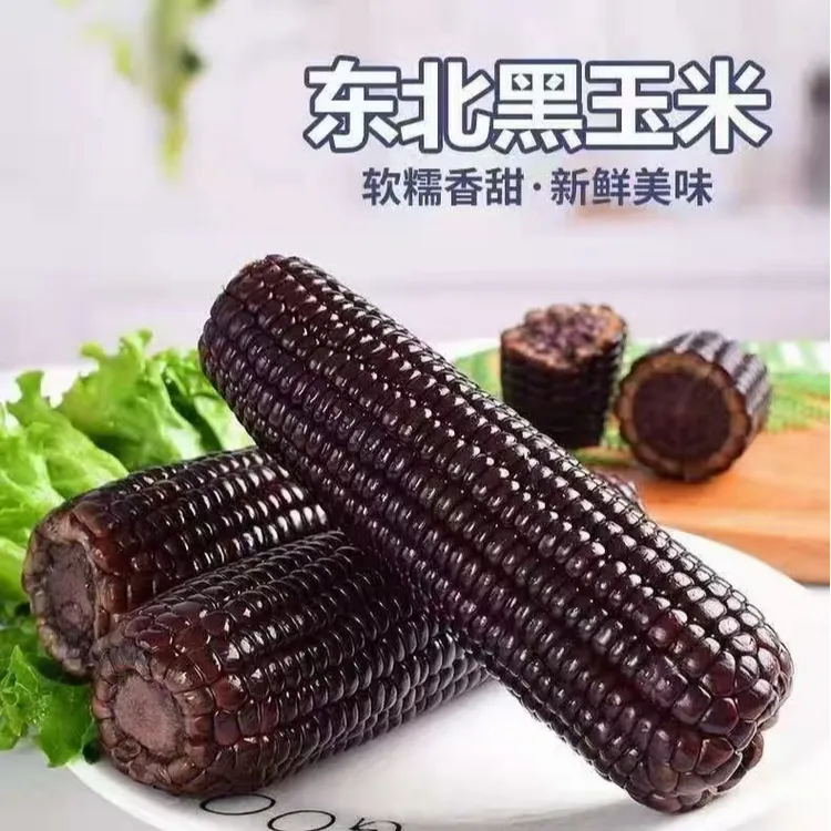 【整箱8-9斤】25年头茬黑糯玉米(280-350g)拍10送4发14支试吃4支