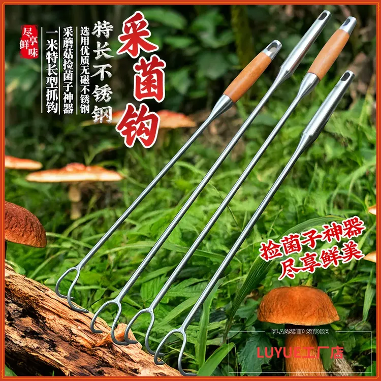 【加长不弯腰】找菌子神器捡蘑菇二齿小耙子拾野生鸡枞挖云南蘑菇勾