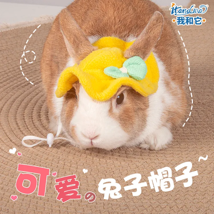 我和它兔兔可爱小帽日韩暖帽蝴蝶结款式毛绒小宠兔子荷兰猪帽子