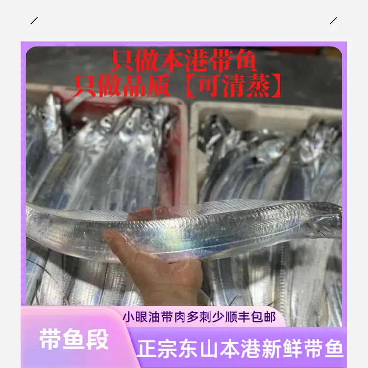 正宗东山本港新鲜带鱼段去头去尾黑眼带鱼小眼油带深海带鱼段