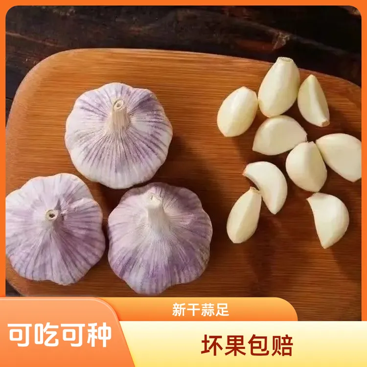 【低价冲量】2025年新干蒜十足干蒜农家新干蒜新晒干大蒜
