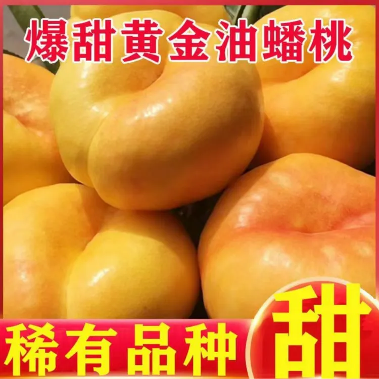【爆汁纯甜】彩虹油蟠桃稀有黄油桃新鲜应季现摘现发甜嫩多汁包邮