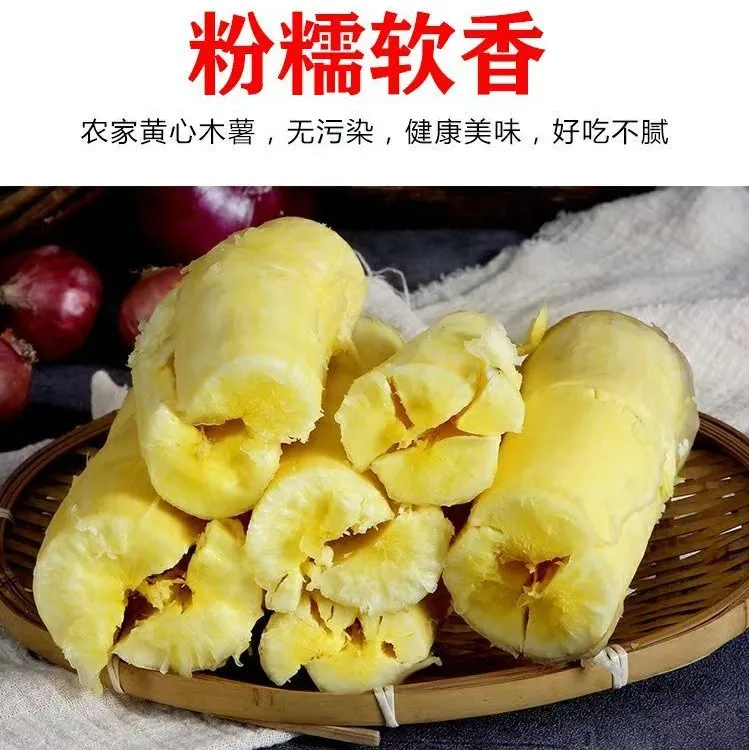 广西黄肉木薯新鲜现挖黄心面包木薯羹糖水店专用