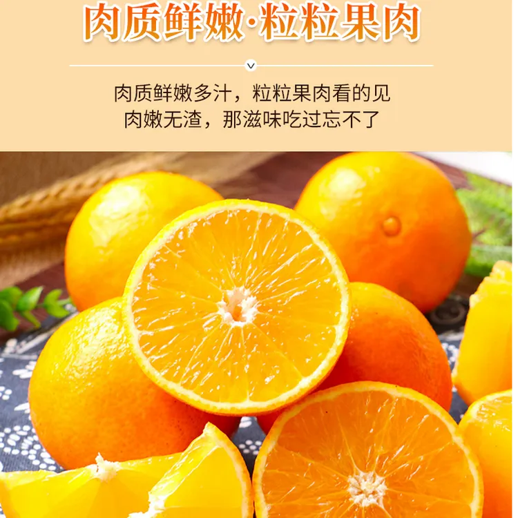 （寒冷地区保温箱）四川眉山精品爱媛果冻橙老树直发