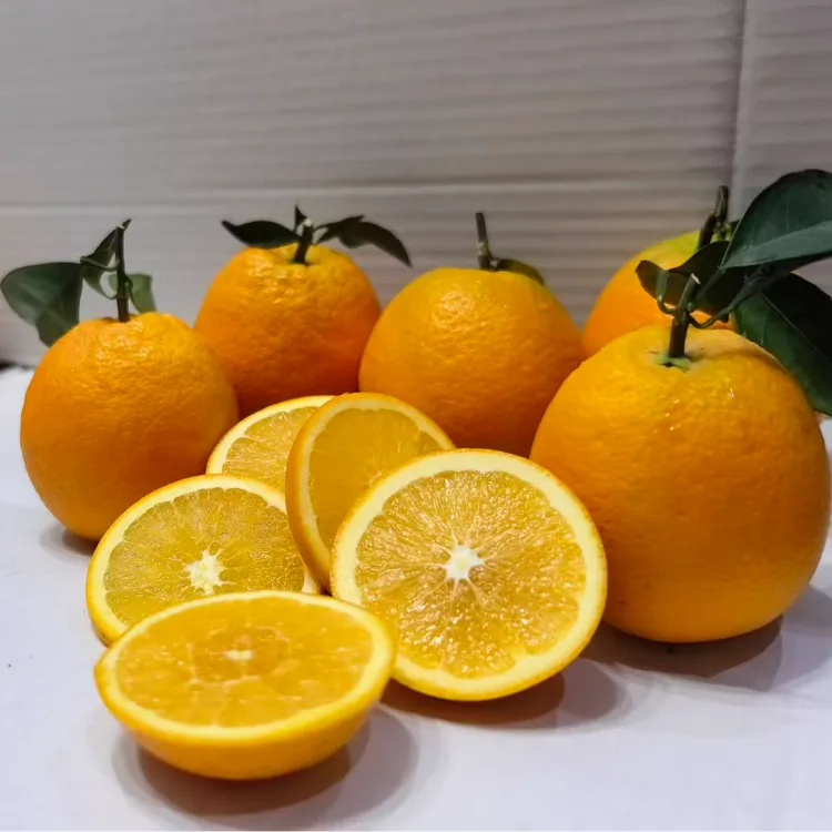 【山秀果园】正宗赣南脐橙礼品果新鲜采摘皮嫩多汁产地直发