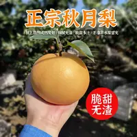 正宗山东莱阳秋月梨，原株生态生长，脆甜多汁，一箱4.5-5斤(4-6枚)