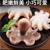 免洗去内脏新鲜短腿八爪鱼新鲜美味 3+1包包邮 500g/包