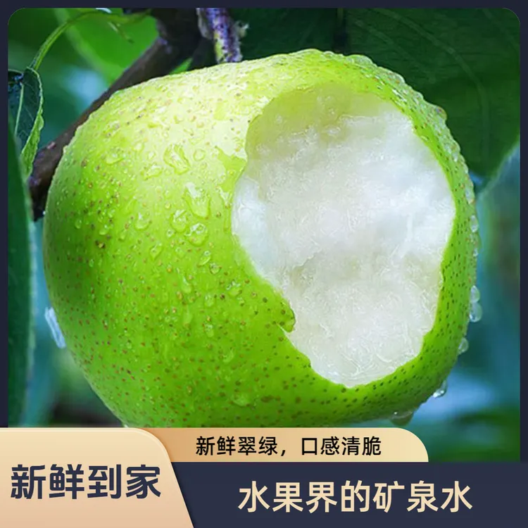 【甄鲜秘语】新鲜当季梨子整箱包邮酥脆可口夏季翠冠梨鲜甜可口爆汁