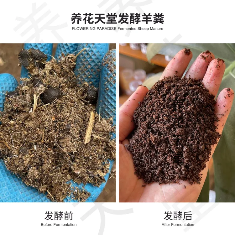羊粪堆肥高温腐熟无异味养花种菜园艺改土富含腐殖质