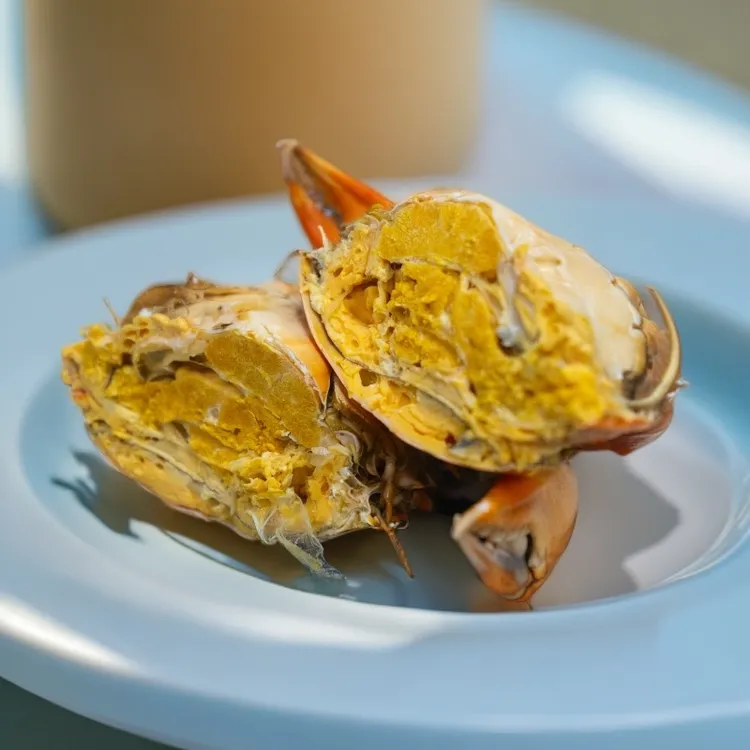 鲜活 特级黄油蟹 头手黄油蟹 包鲜包活 5两/每只