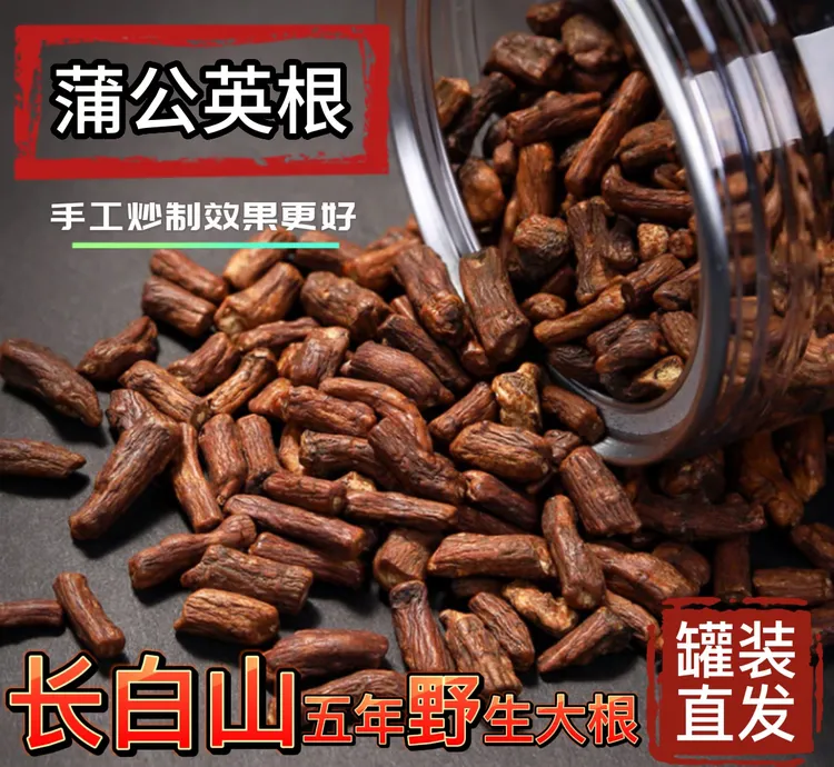 蒲公英根茶 长白山野生蒲公英根 精选壮根切断恒温炒制熟蒲公英根