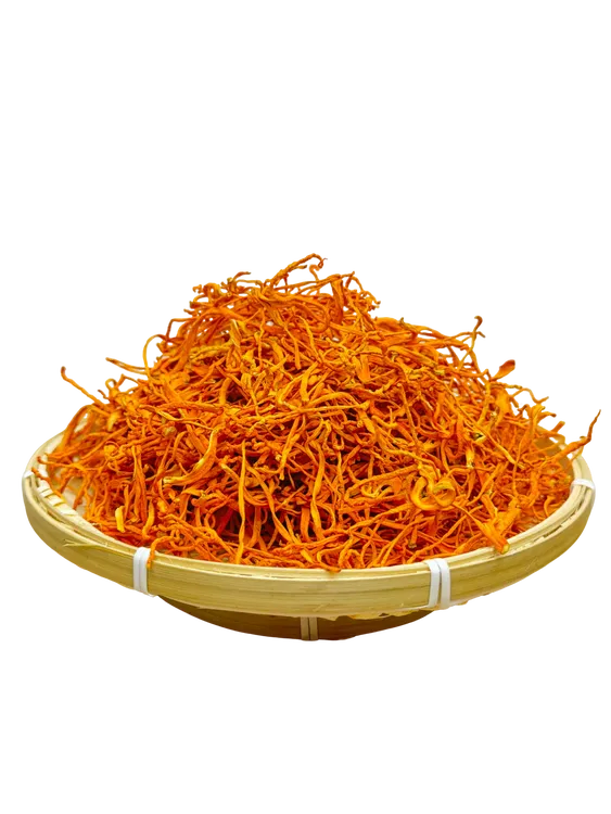 精选优质虫草花炖汤无硫无添加自然晾晒净重龙胆草包邮北虫草