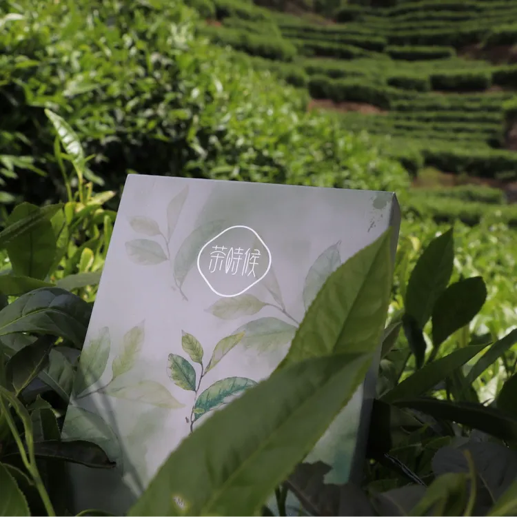 茶多酚植物提取买一送一，紧急补水保湿护肤舒缓滋润