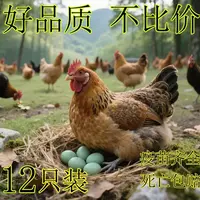 【时臻】13只散养青脚正阳麻羽绿壳蛋宠物鸡顺丰包邮半斤左右