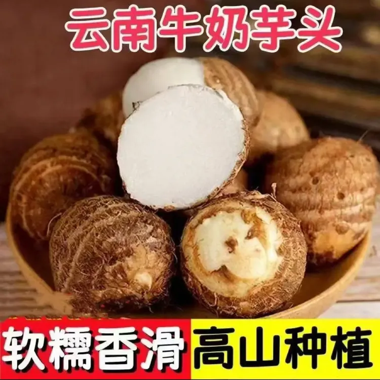 云南高山新鲜牛奶小芋头现挖现发香糯粉滑当季蔬菜