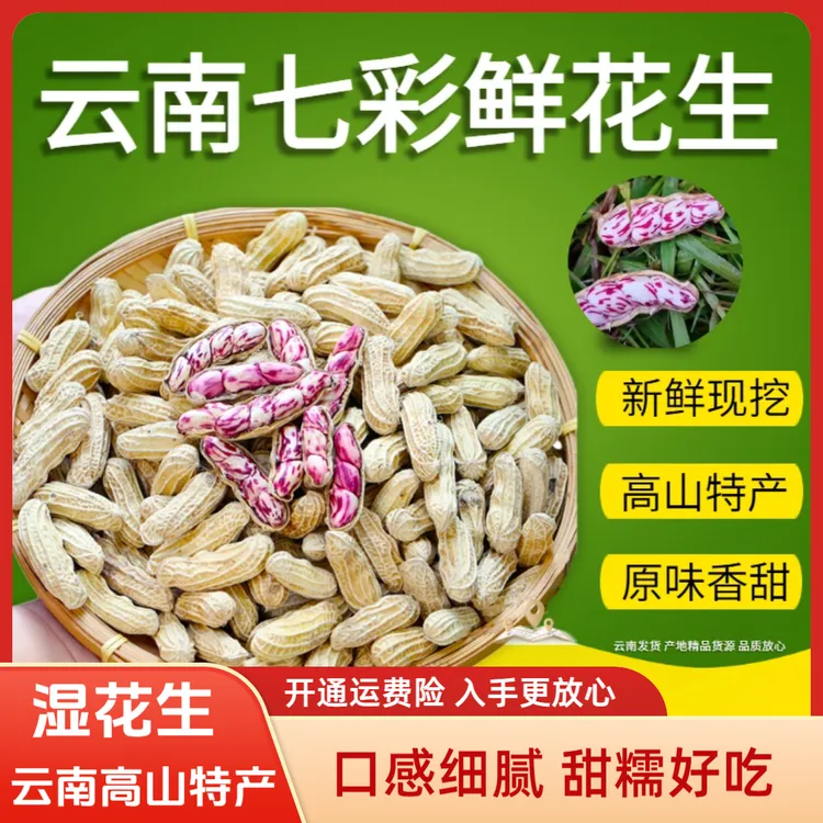 【新鲜七彩湿花生】云南七彩花生湿花生带壳 水果花生1-9斤现称现装