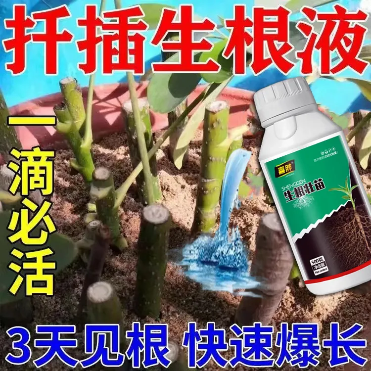 生根粉强力生根粉死苗烂根沤根植物通用果树移栽扦插生根剂营养肥