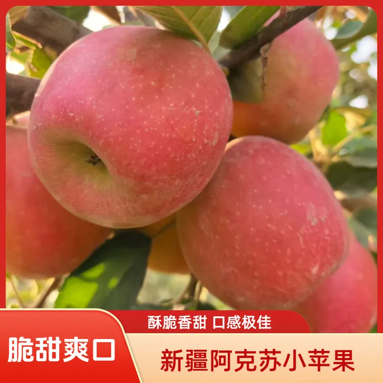 【脆甜爽口】新疆阿克苏天山蜜脆小苹果产地直发坏果包赔水果新鲜