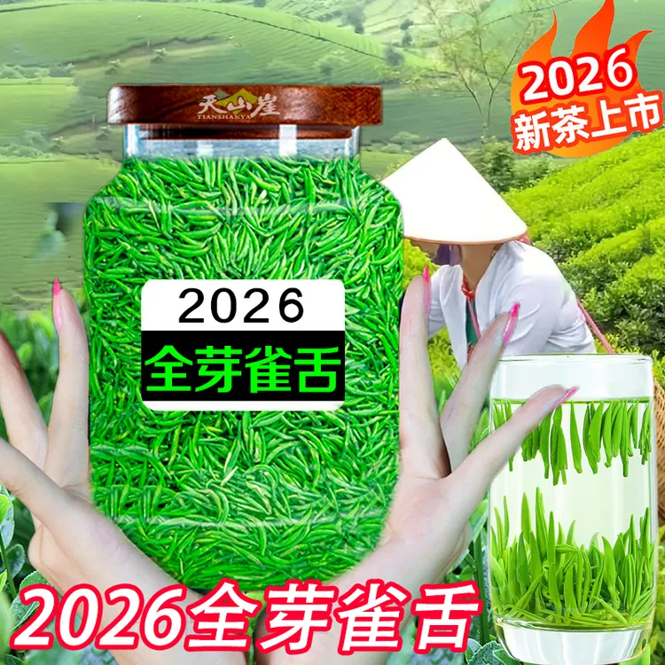 特级全芽雀舌绿茶2026新茶叶正宗明前贵州湄潭翠芽高山毛尖浓香型商品图