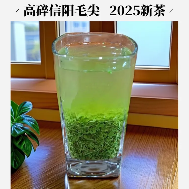 【高碎茶碎】2025新茶信阳毛尖碎茶 高碎浓香耐泡好喝
