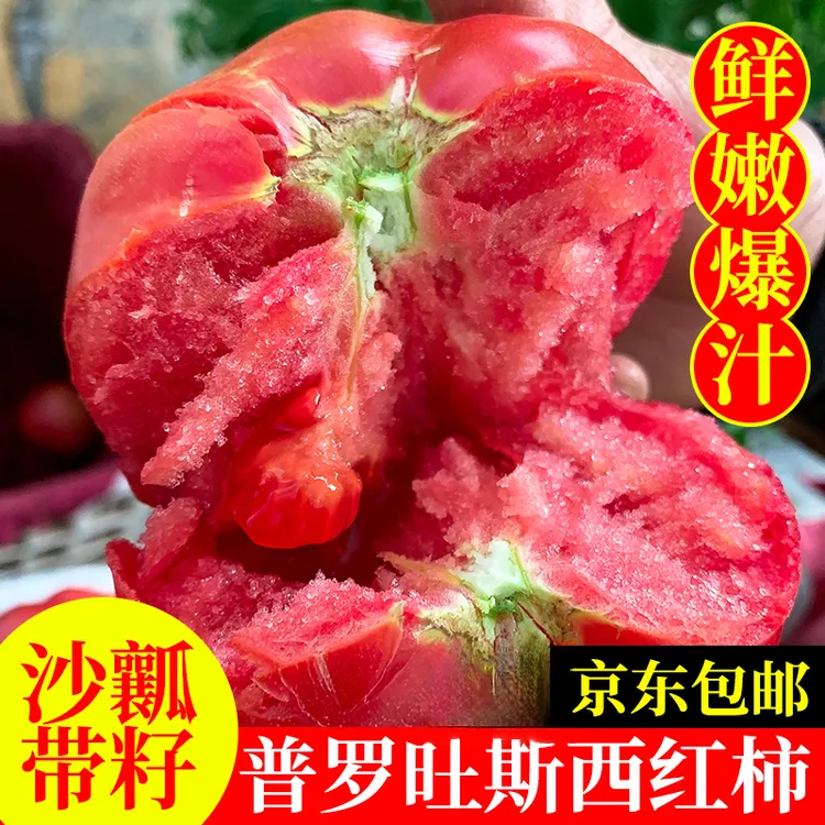 【京东包邮】正宗普罗旺斯西红柿沙瓤带籽4.5斤产地现摘发番茄