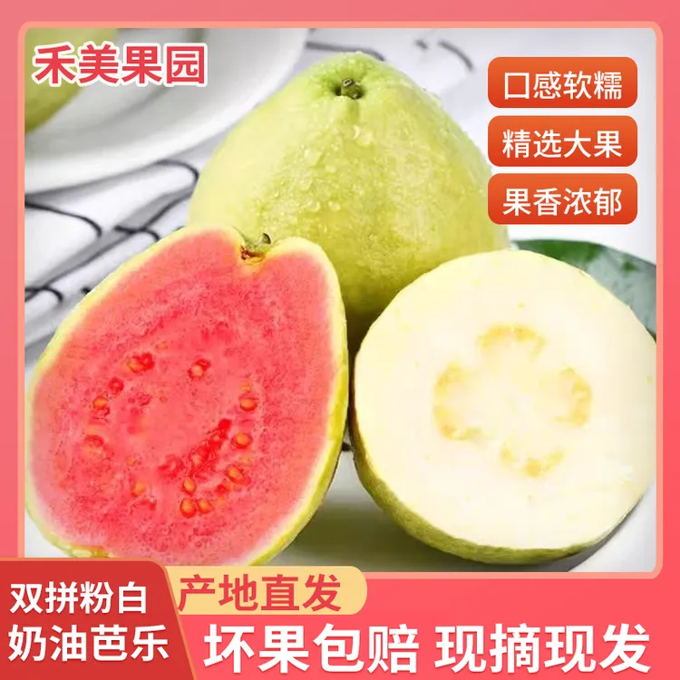 广西奶油红心芭乐白心芭乐番石榴软糯香甜当季新鲜采摘