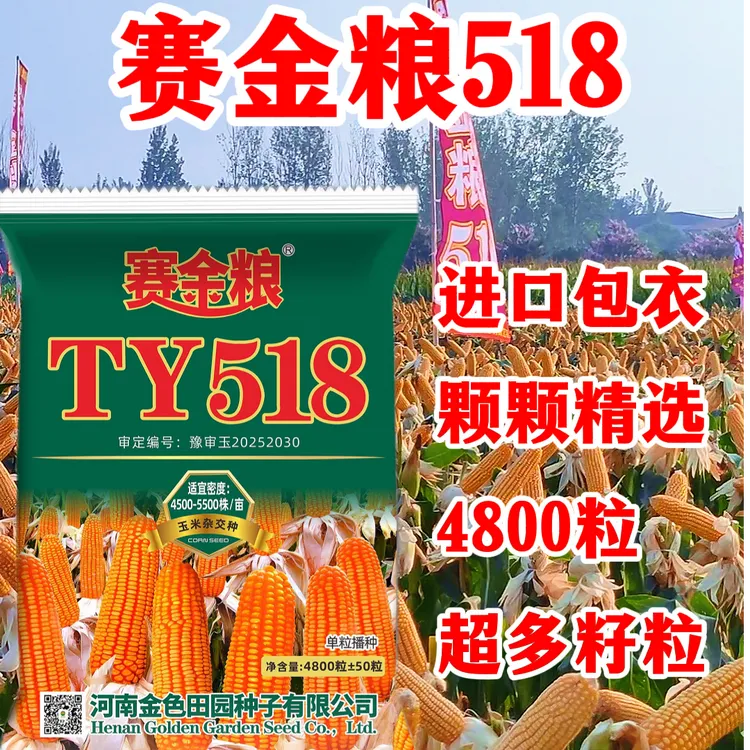 【赛金粮】TY518耐密大棒高产玉米