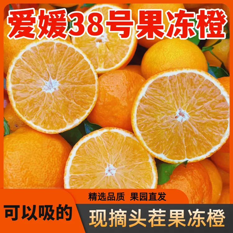 四川爱媛38号果冻橙香甜多汁新鲜手剥橙应季水果皮薄果园现摘现发