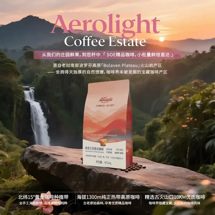 陨炻庄园SOE精品意式咖啡豆——阿拉比卡 454g（老挝产区）