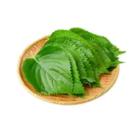 新鲜苏子叶100g±5g/份苏子叶