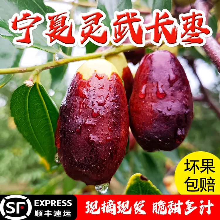 灵武长枣【产地直发】顺丰包邮新鲜脆甜多汁皮薄肉厚应季水果红枣