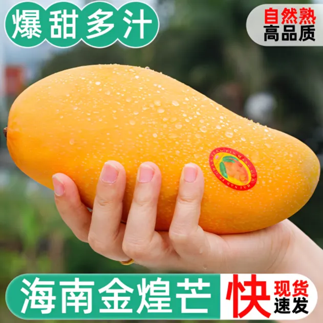 【京东包邮】海南金煌芒8斤礼盒装 新鲜水果当季芒果现摘包邮