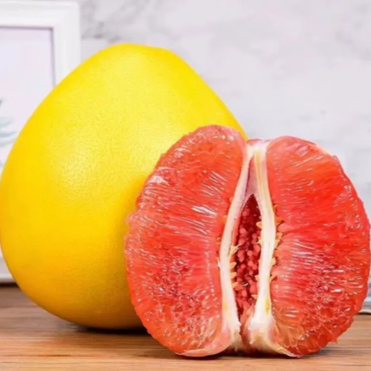 红心蜜柚苗树南北方庭院带土大果树苗盆栽嫁接柚子树苗盆栽地栽