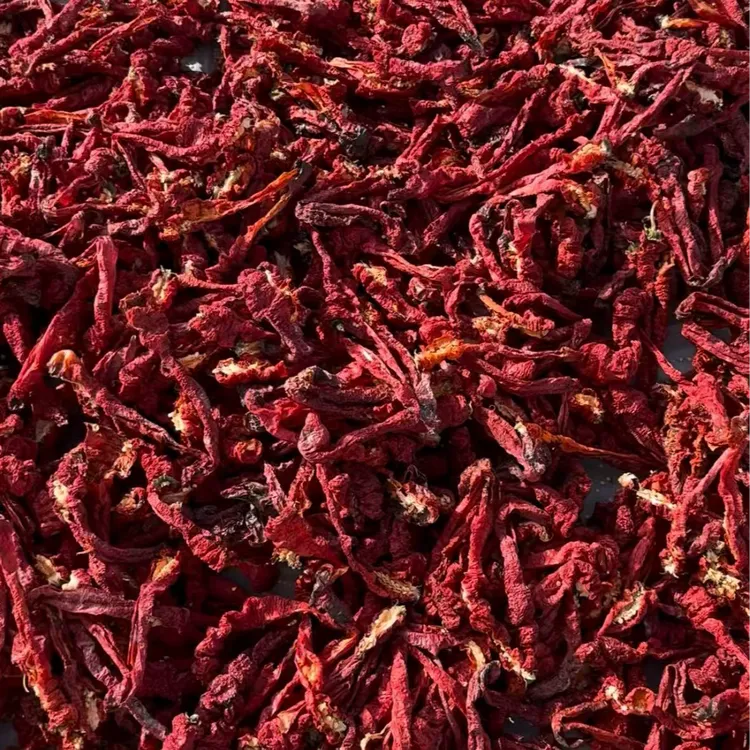 新疆头茬辣皮子焉耆厚肉微辣甜香适合做辣椒酱大盘鸡拌面