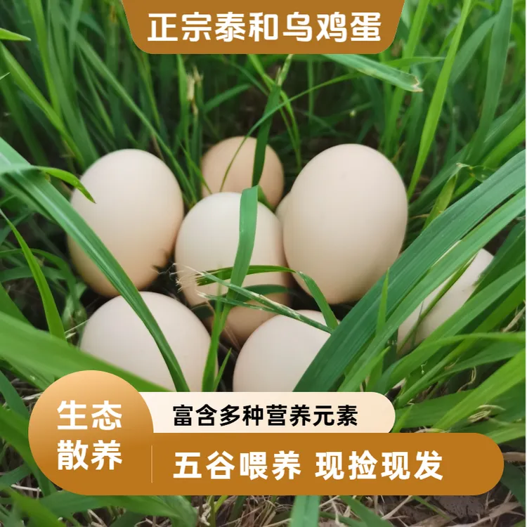 正宗泰和乌鸡蛋林下散养现捡新鲜谷物喂养健康美味30枚新鲜鸡蛋