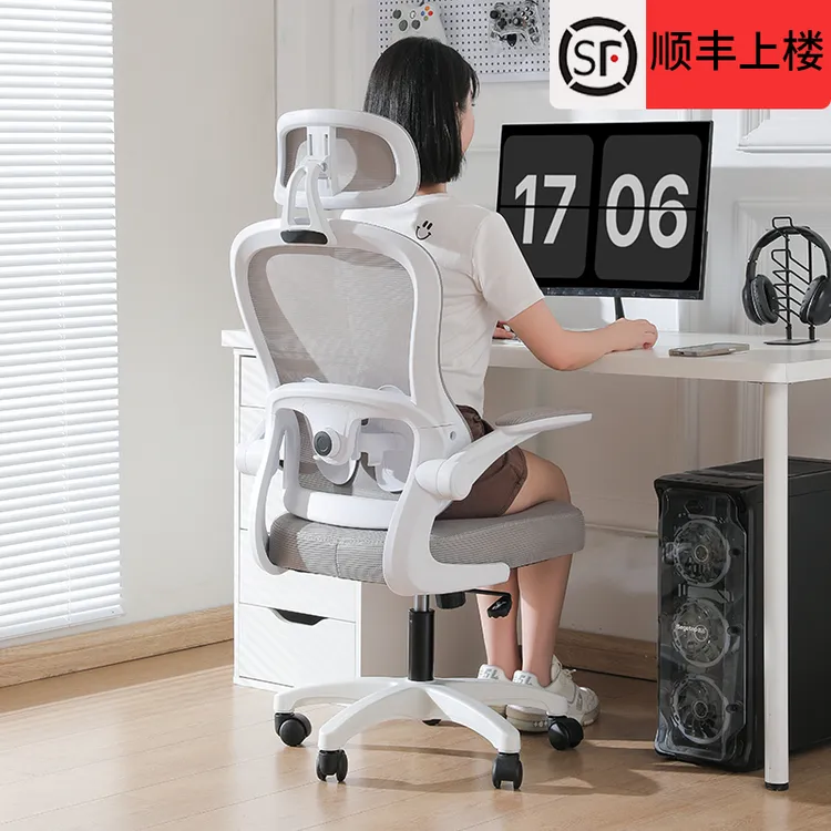 人体工学椅子护腰电脑椅家用久坐舒适办公椅靠背宿舍电竞转椅座椅