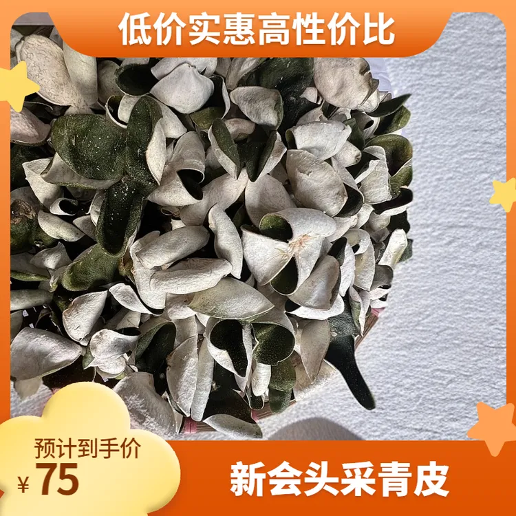 【正宗新会三花青】2025年新会圈枝三花青皮头采青皮罐装铁桶装