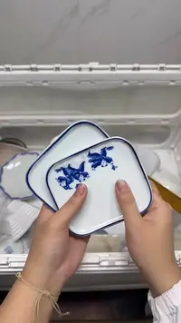 【闪购商品】045回流瓷器默认微瑕，18.8包邮