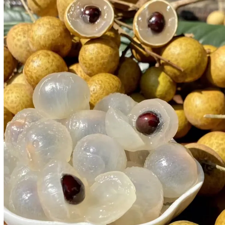 泰国进口金标大龙眼新鲜当季鲜果坏果包赔