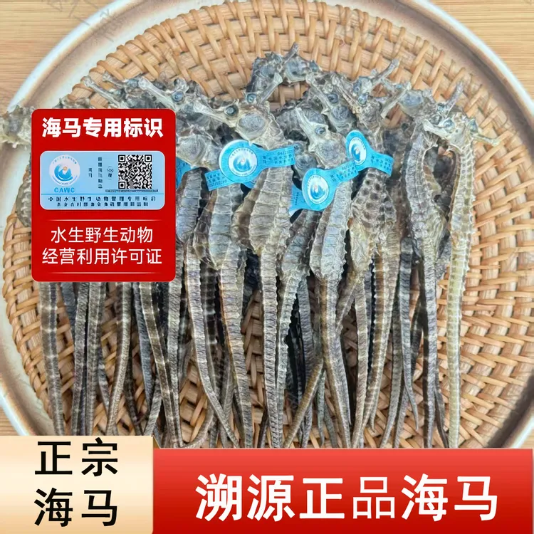 【正品溯源海马】膨腹海马干货公母配对活马现晒煲汤泡酒料