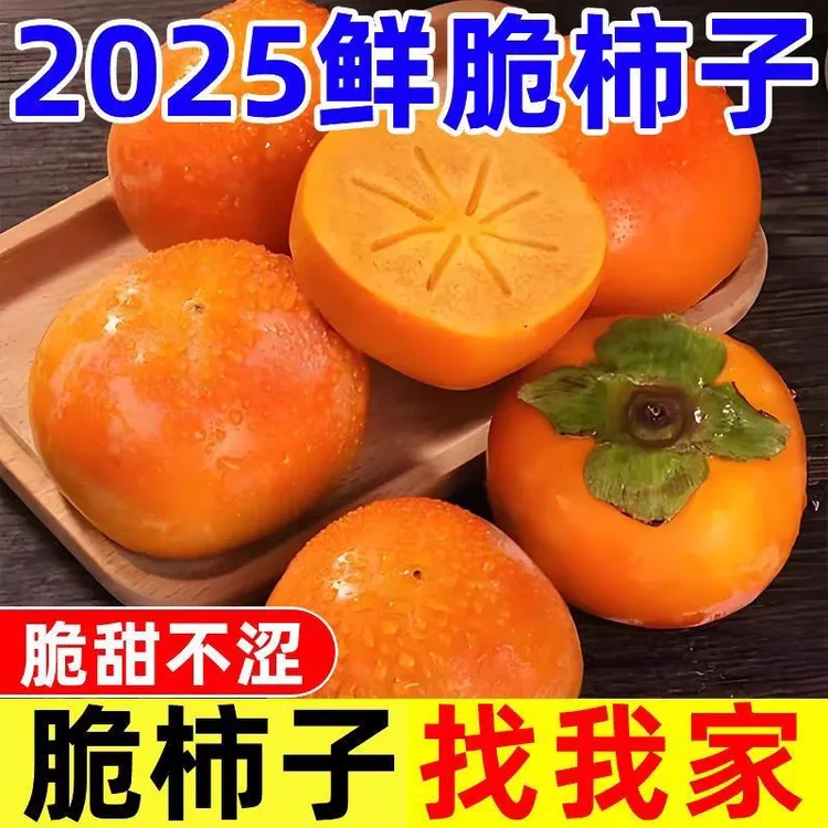 新鲜应季阳丰巧克力脆甜柿子无核冰糖心水果