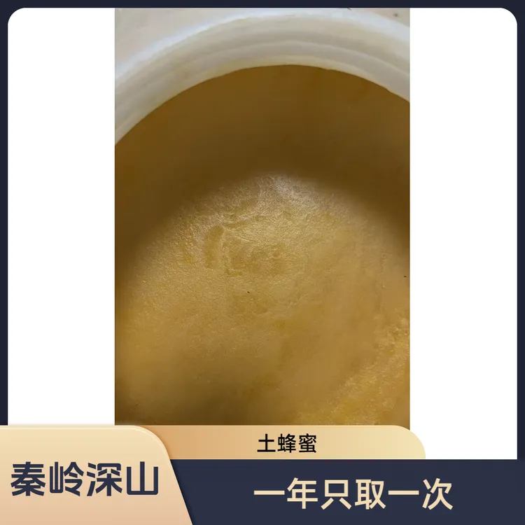 甘肃土蜂蜜农家自产