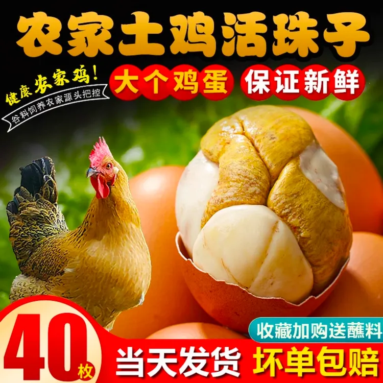 新鲜13天五香香辣味开袋即食活珠子钢化蛋毛蛋活珠子毛蛋营养美味