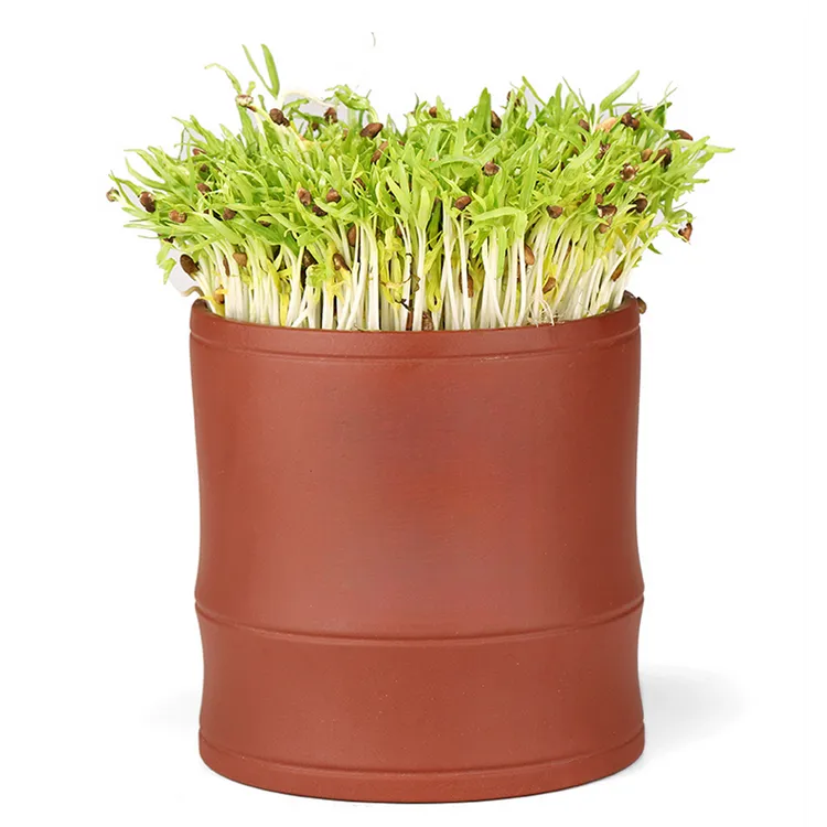 红泥中号竹节芽苗罐豆芽机自动发芽机家用实用方便