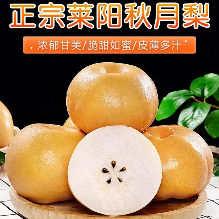 【正宗秋月梨】梨乡莱阳产地直发，果肉细腻水润多汁
