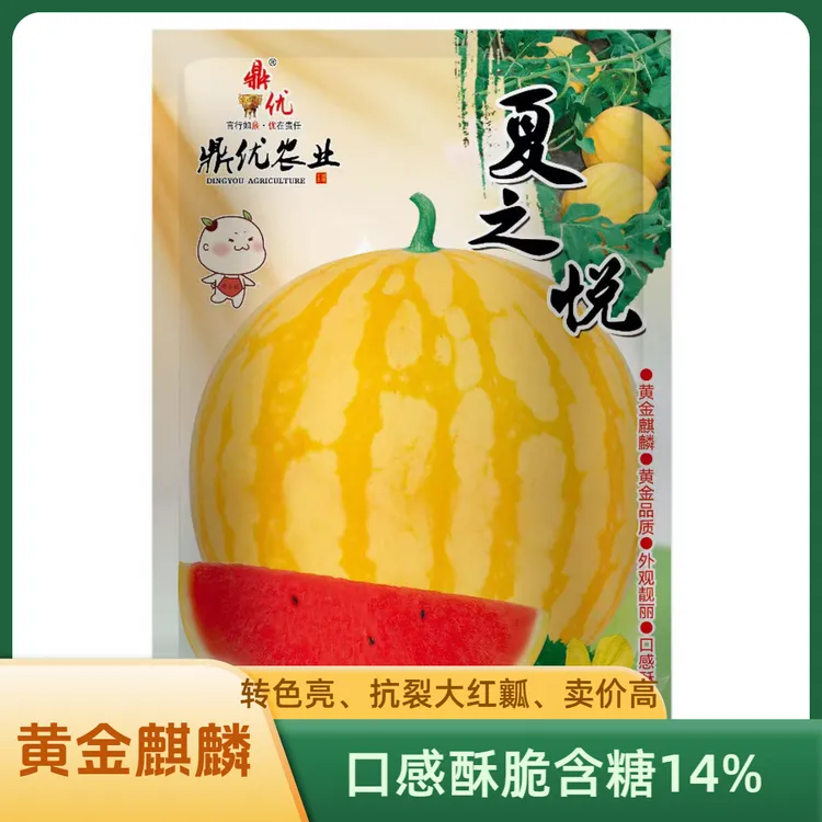 黄金麒麟（夏之悦）口感酥脆、大红瓤、抗裂强好座果西瓜种子200粒/袋